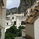 Casatua